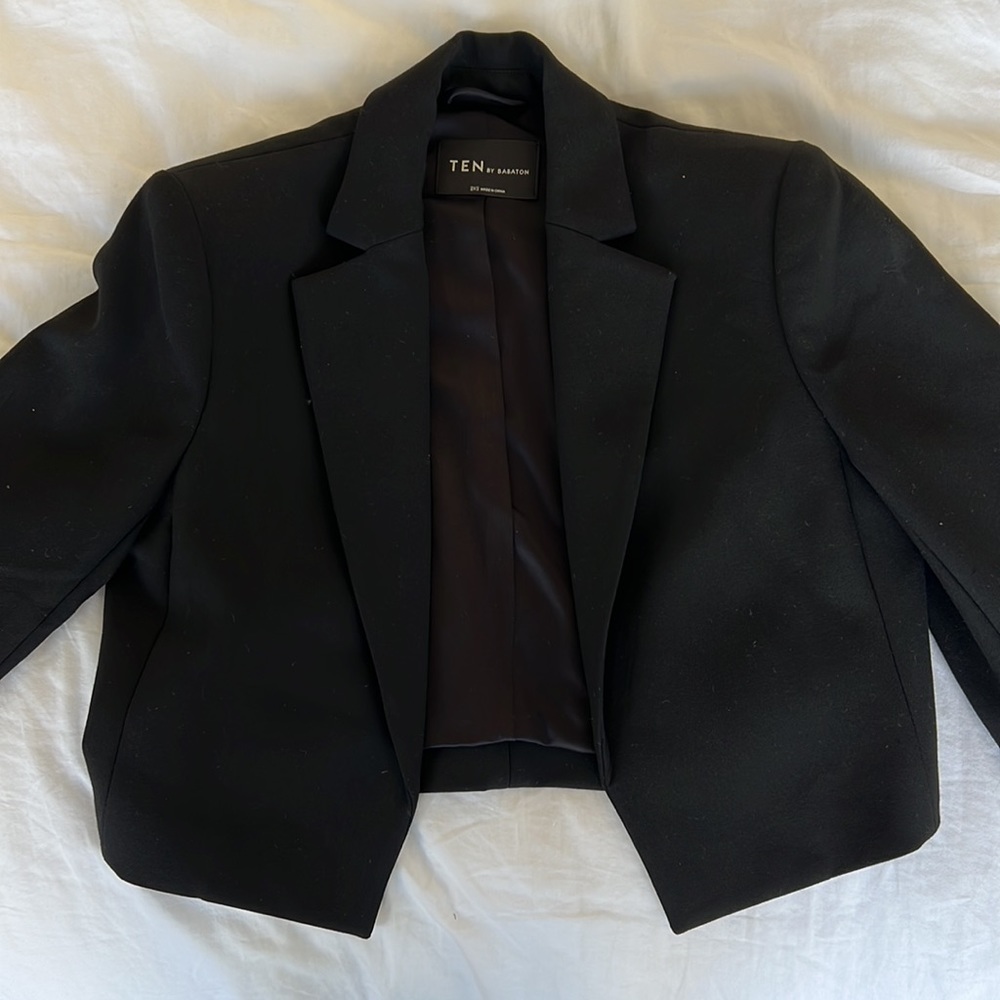 Aritzia TEN by Babaton Blazer